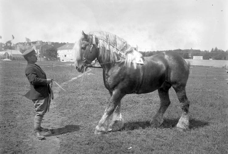 Uddevallautställningen 1928