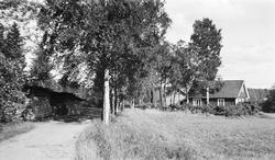 Husmannsplassen Dammen ved Sognsvann.