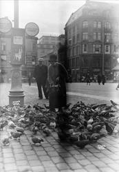 Youngstorget, fuglemating