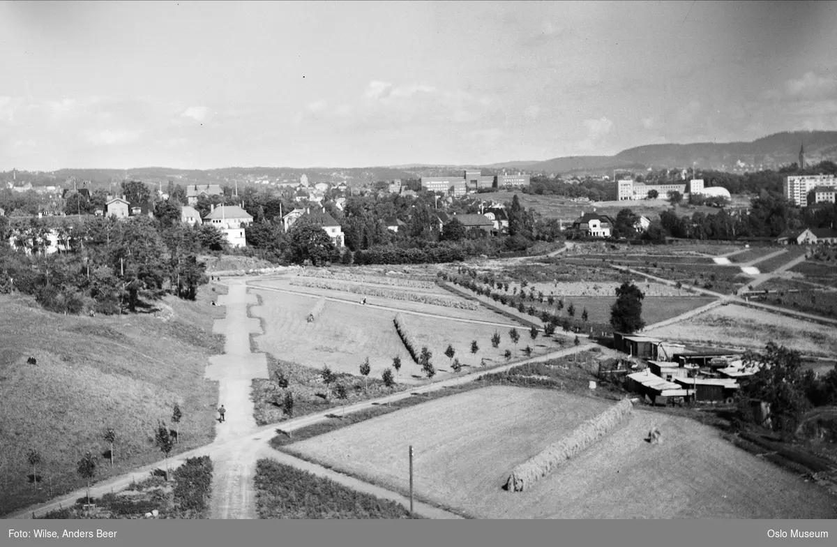 utsikt nordvest, park, villabebyggelse, Kringkastingshuset, Universitetet