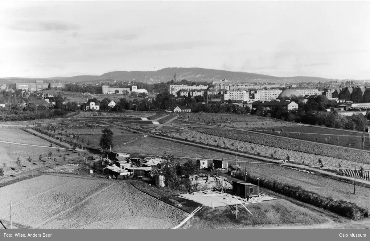 utsikt, park, anleggsarbeid, Universitetet, Kringkastingshuset, Colosseum, Majorstuen skole, bebyggelse