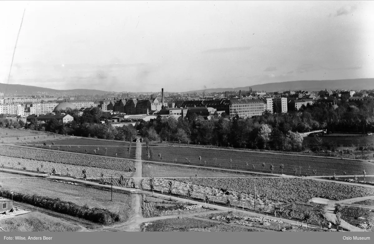 utsikt, park, anleggsarbeid, Colosseum, Majorstuen skole, bebyggelse