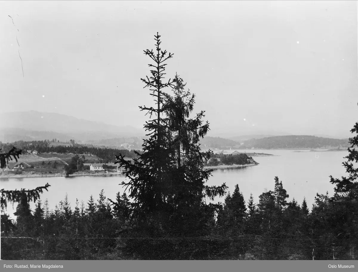 utsikt mot nordvest, skog, fjord, gårder