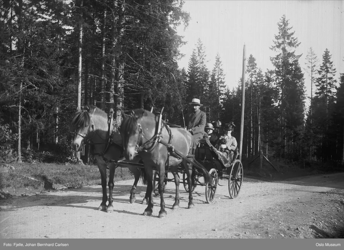 skog, vei, hester, vogn, kusk, passasjerer, kvinner