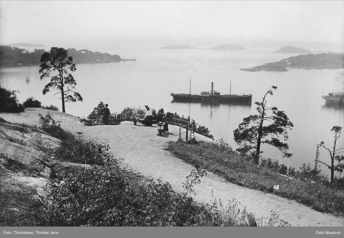 Utsikten, vei, utsiktspunkt, mennesker, fjord, skip