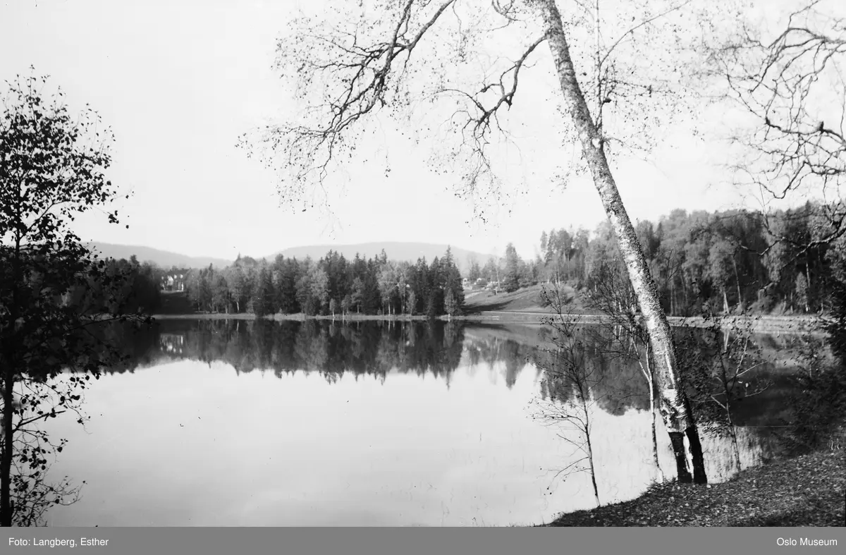 utsikt, vann, skog, park, Bogstad gård