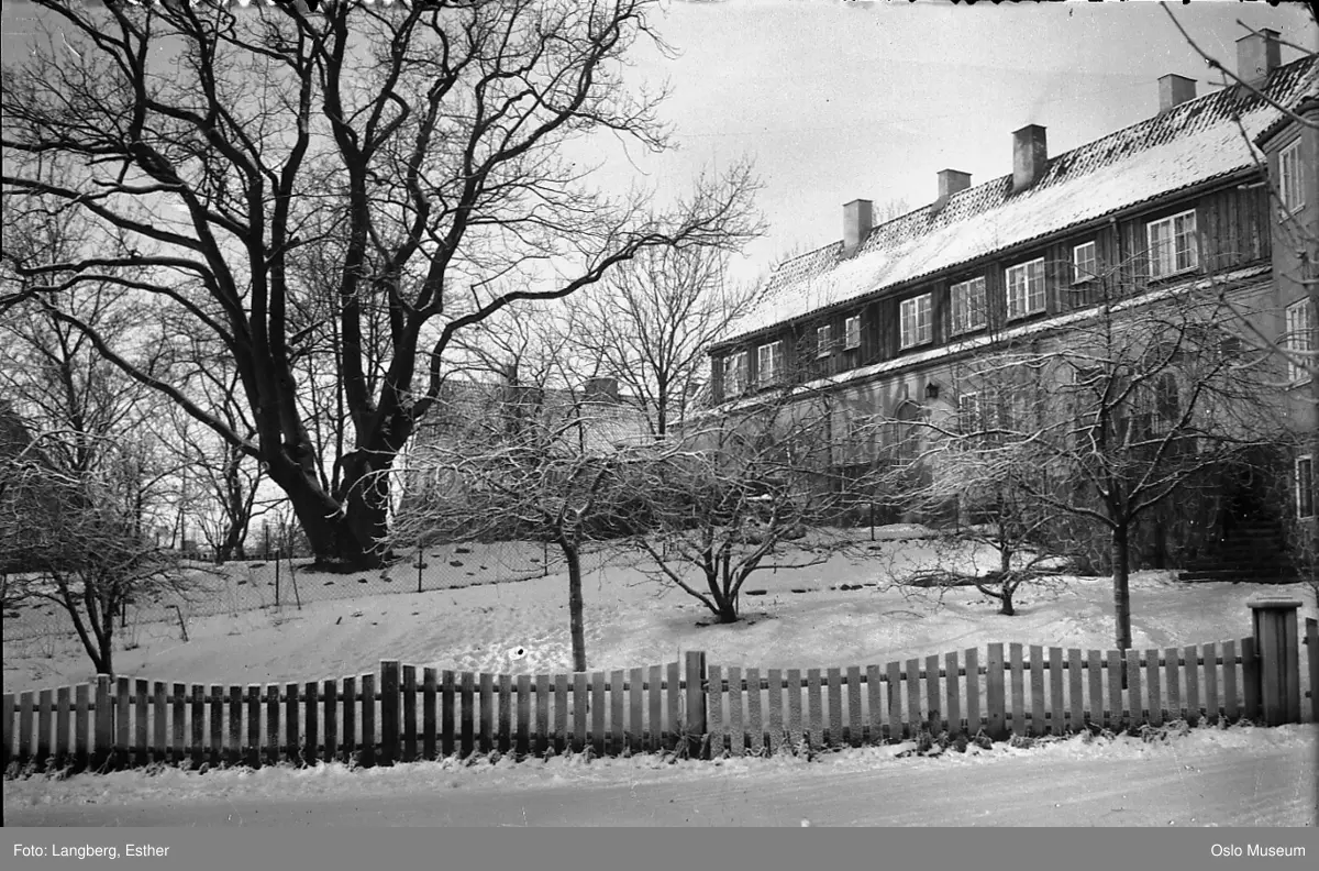 bolighus, hage, snø