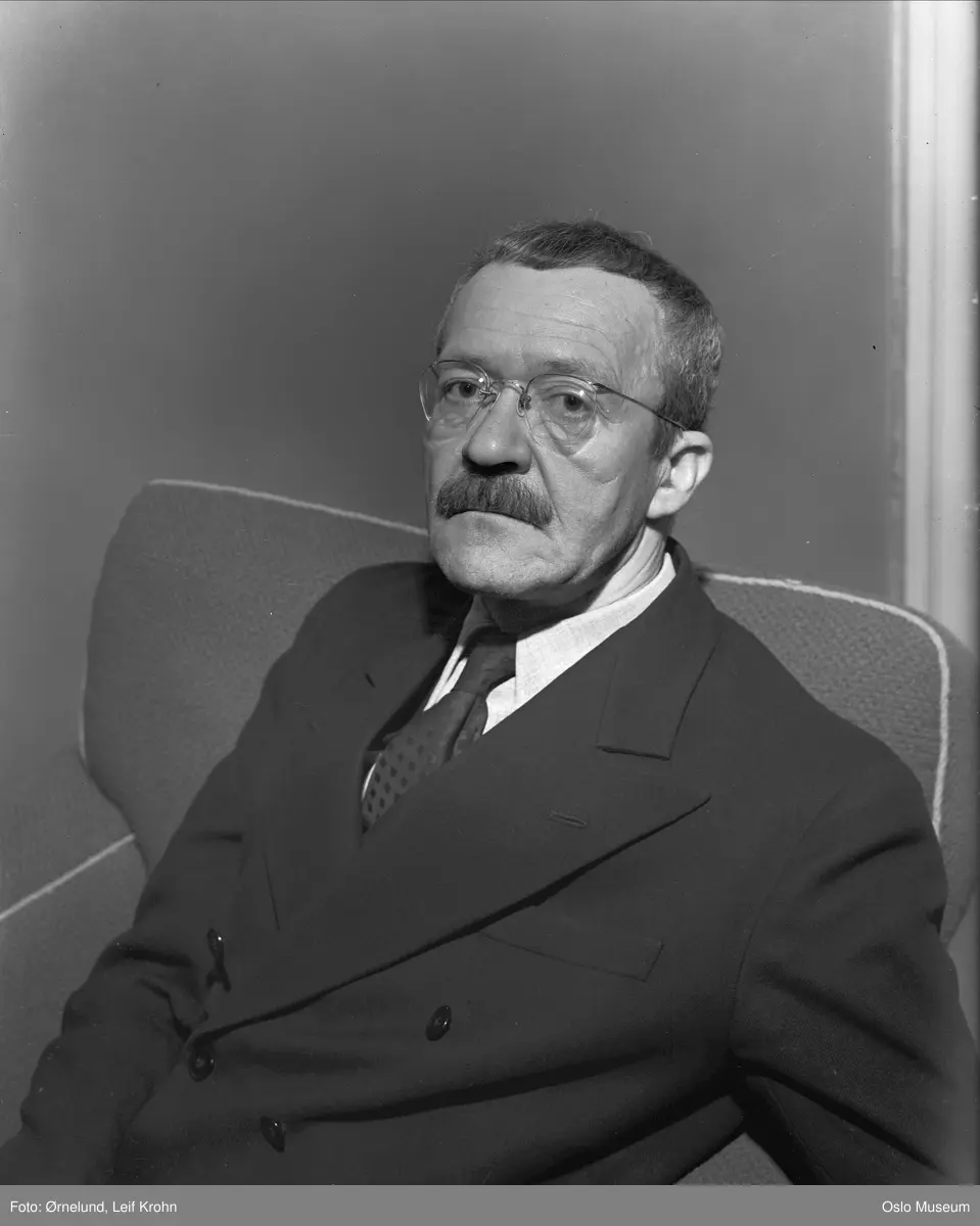 portrett, mann, forfatter, sittende halvfigur