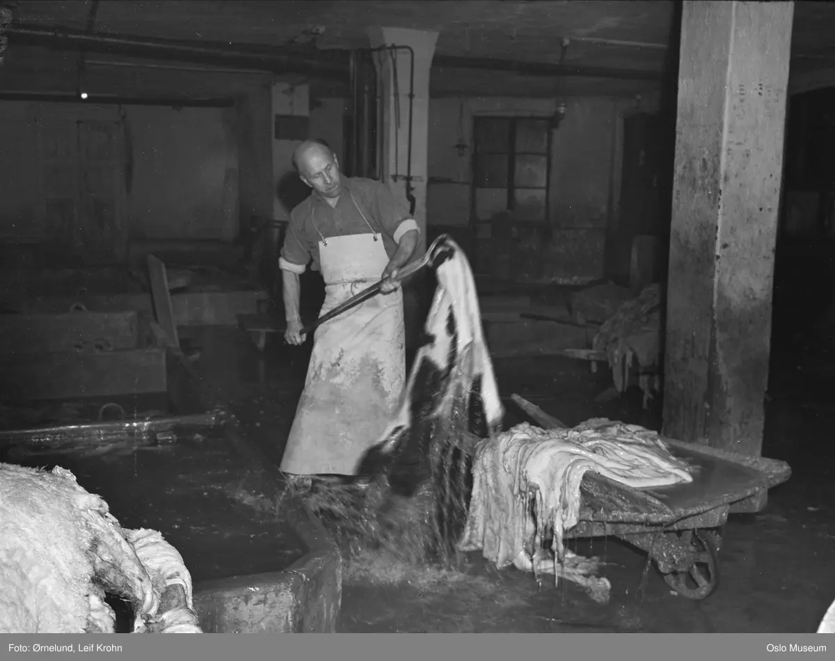 Halléns garveri, hanske- og skinnbekledningsfabrikk, interiør, mann