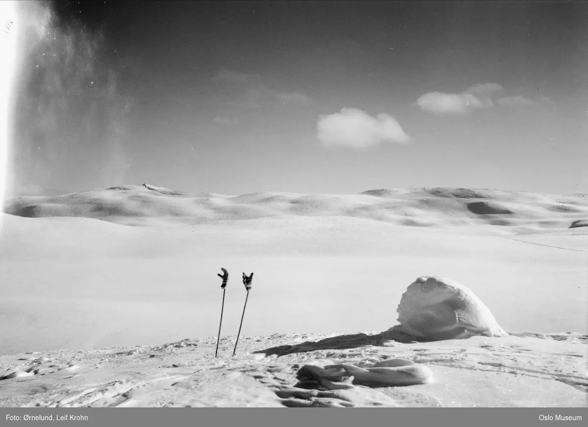 fjell, vidde, snø, skiferie, skistaver