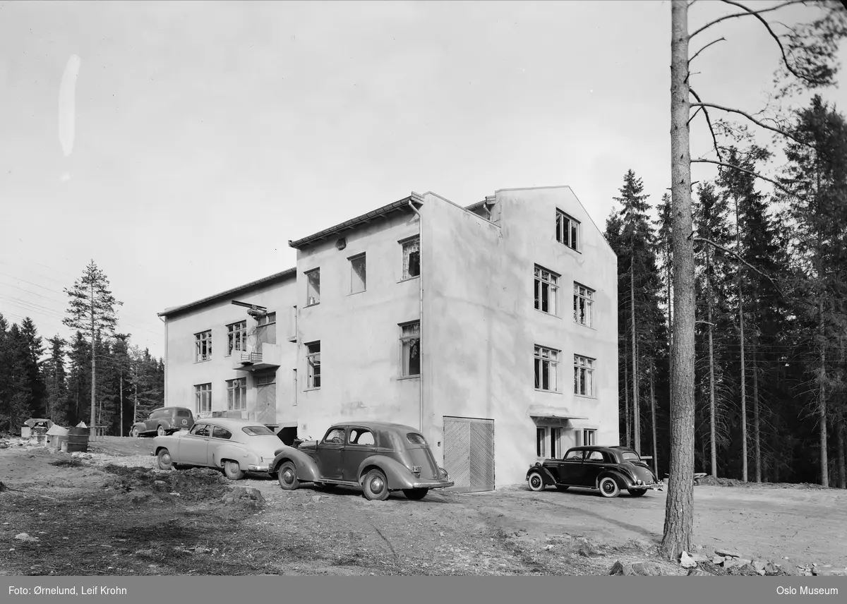 fabrikkbygning, Husholdningsmaskiner a.s., biler, skog