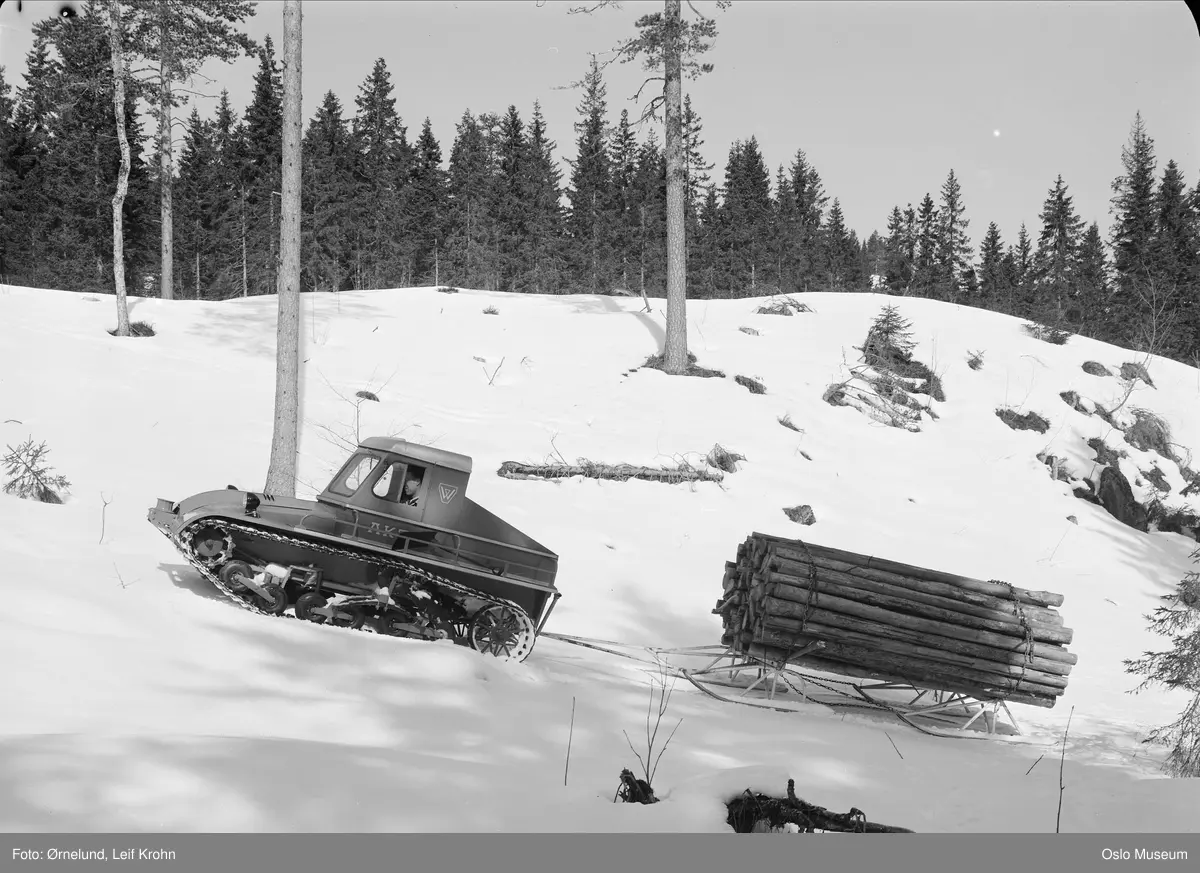 Snow-Trac beltevogn, tømmertransport, skog, snø