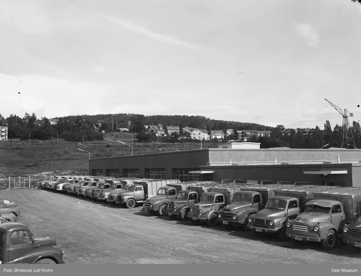 012uMXHRRjaL?dimension=1200x1200