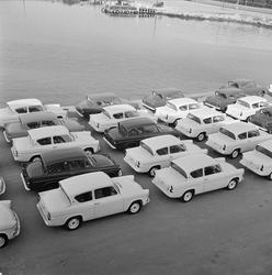 Nye biler på Hjortneskaia.