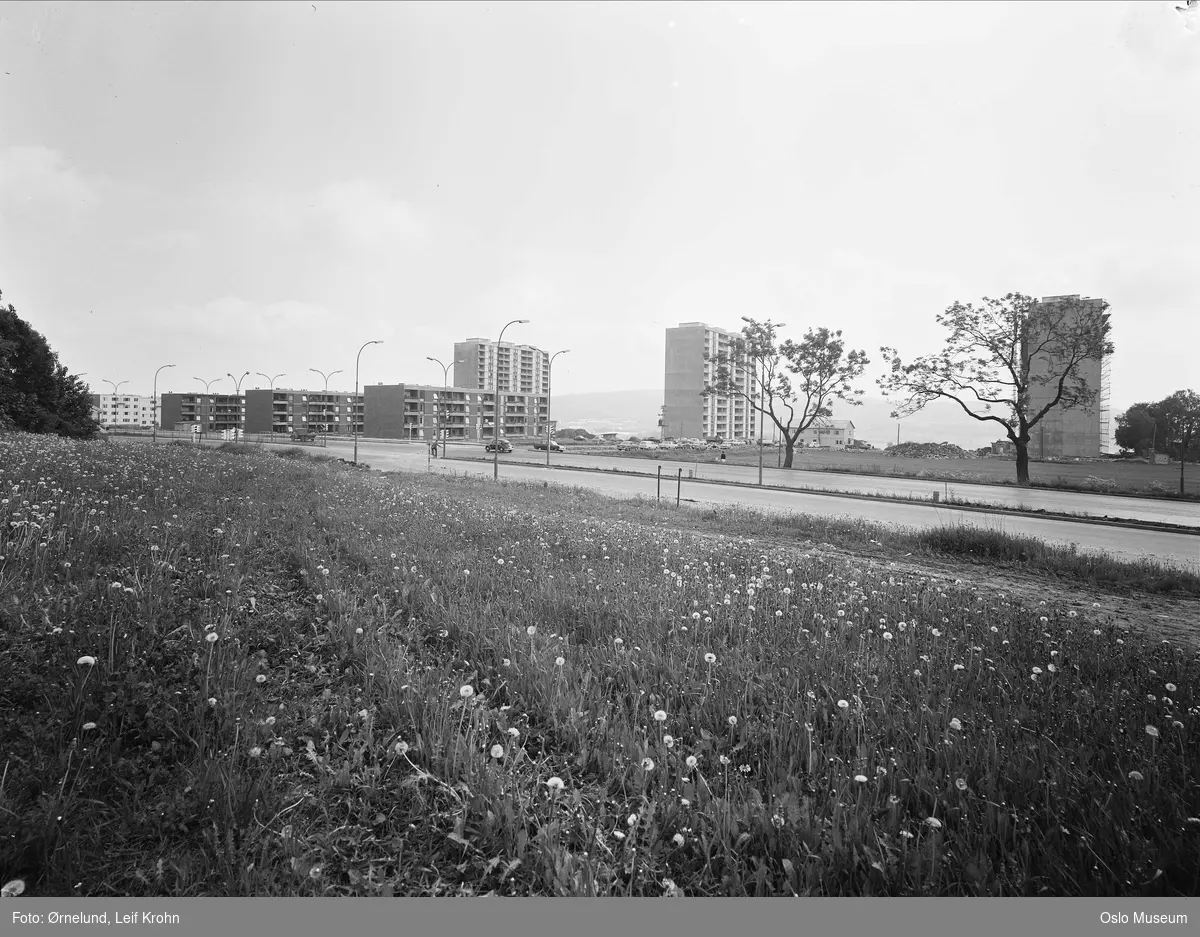 blokkbebyggelse, boligblokker, vei, biler, gatebelysning