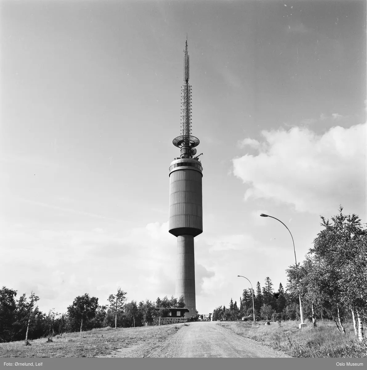 vei, skog, Tryvannstårnet, gatebelysning