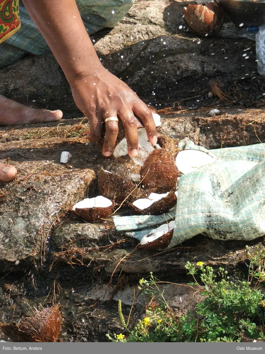 Hinduisme, Sivasubramanyar Alyam, tempel, Tiruvela, badefest, mann, kvinne, barn, vann, parasoller, guder, røkelse, alter, lys,  