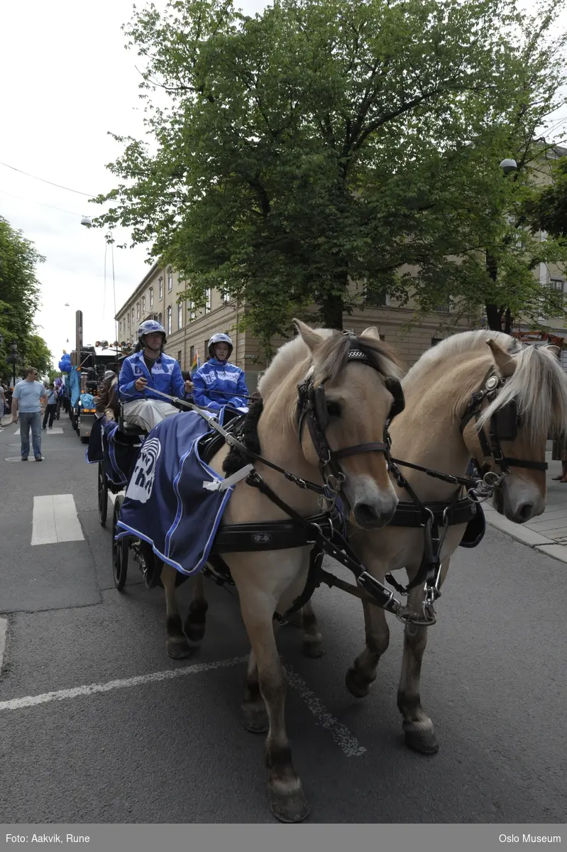 Fotodokumentasjon av Homoparaden 2008. Mennesker, opptog, parade, kostymer, kjøretøy, tilskuere, bannere, paroler, parykker, sminke, hester, jockeyer.