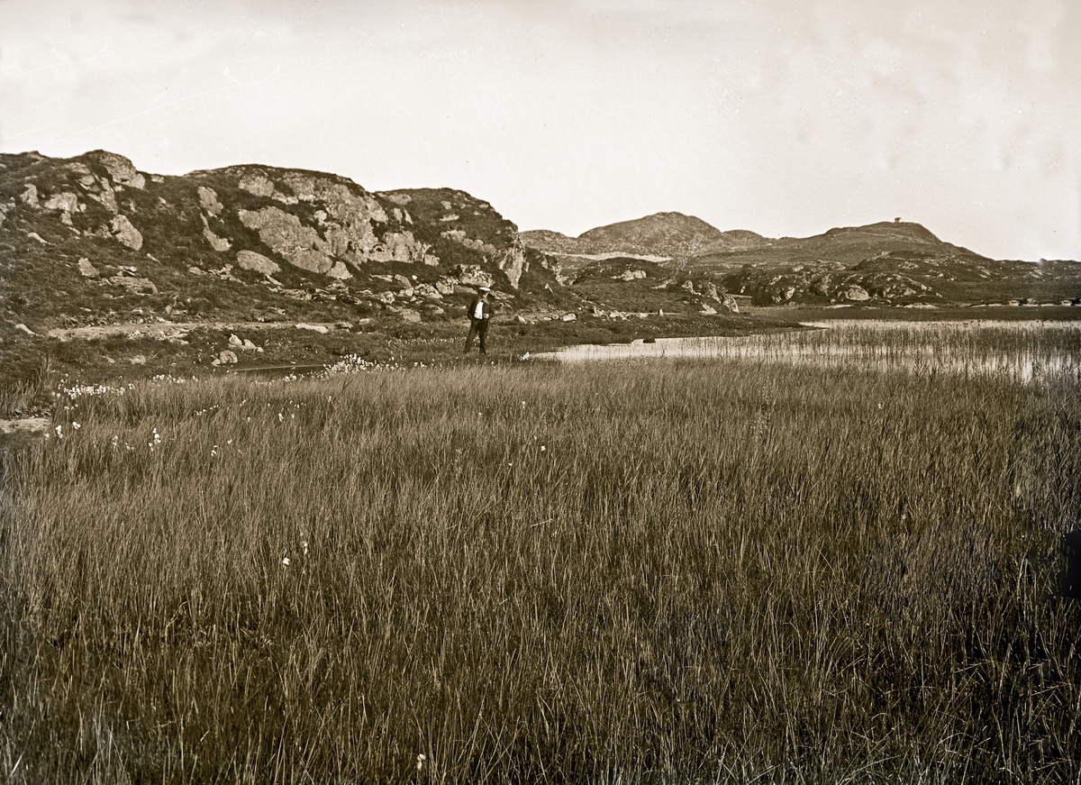 Landskap - Myr.