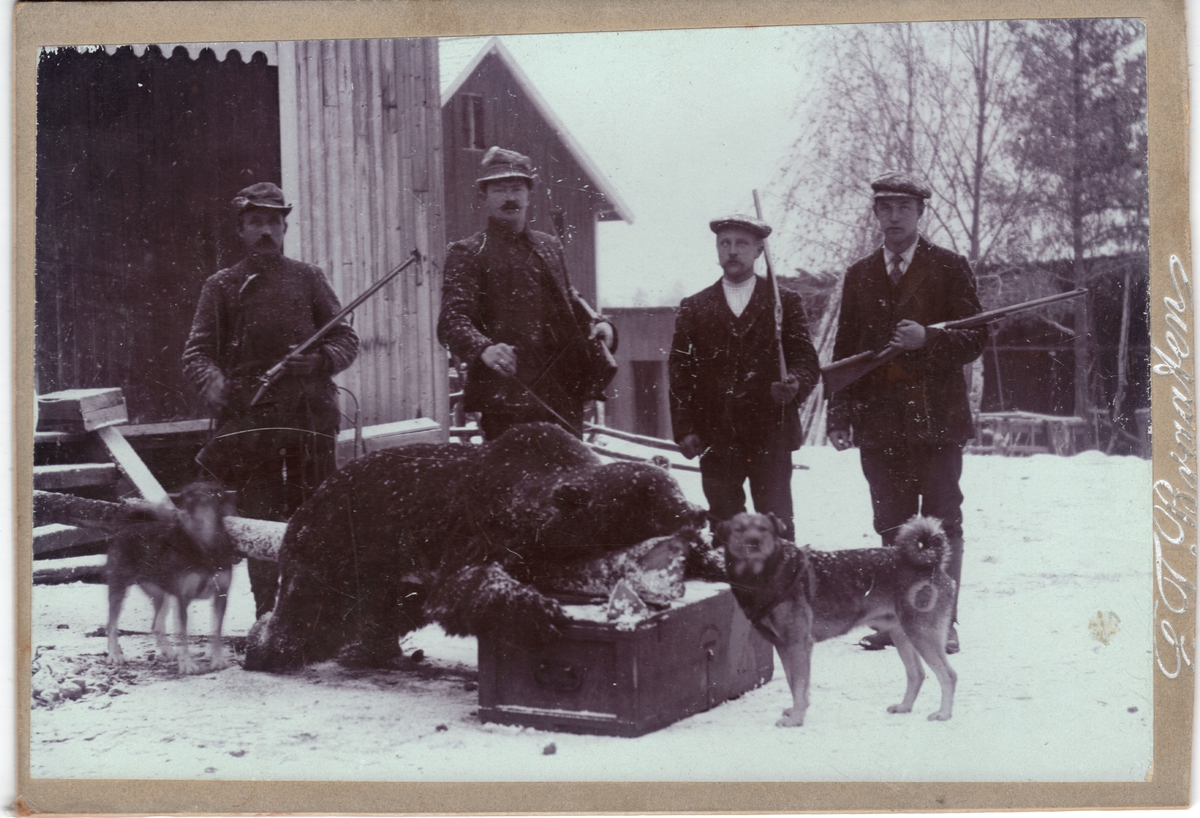 Bjørnejakt i Flå. Frå v. Ola K. Buøen, Thorkild Bjøre, Martin Bjøre og Per Rese. Hunden heiter Bamse eigar er Ola Buøen.
Det var stort å ha skøte ein bjørn i dei tider. Bjørnen vart skøte ovafor Bjørøyplassen i Grønlio
Når dei reiste nedover dalen med bjørneskrotten stimla folk saman for å hylla jegerane på bortimot på kongeleg vis.