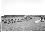 Fallskärmsjägarskolan i Karlsborg 1952.