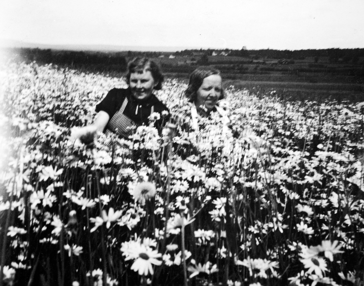 Blomstereng, to personer, fra venstre: Solveig Tangen, Helga Tangen, ukjent sted. 