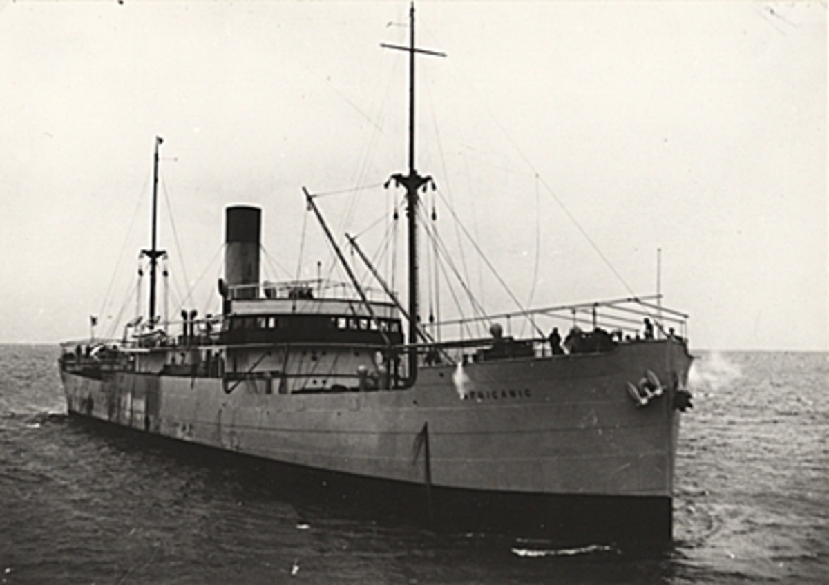 Ångfartyget AFRICANIC av Göteborg. B. 1913 i England, Sunderland.