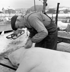 Ringsaker, Gaupen, Gamlevegen 44, Lunde, griseslakting med b