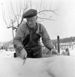 Ringsaker, Gaupen, Gamlevegen 44, Lunde, griseslakting med b