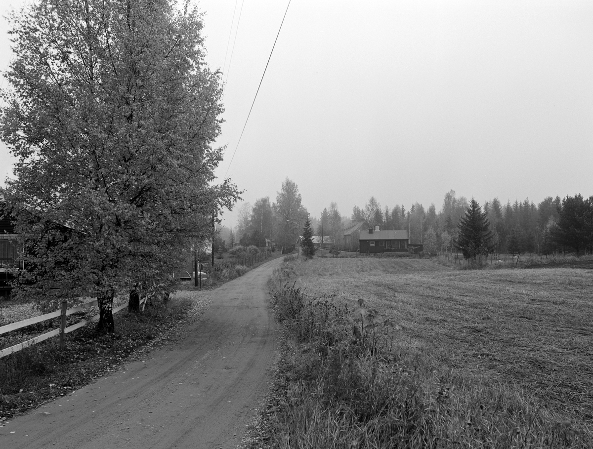 Trostholvegen, frikirketomta til venstre, Grindbo i bakkant av jordet på Grindstuen. Olaroa, Ådalsbruk.  Løten.