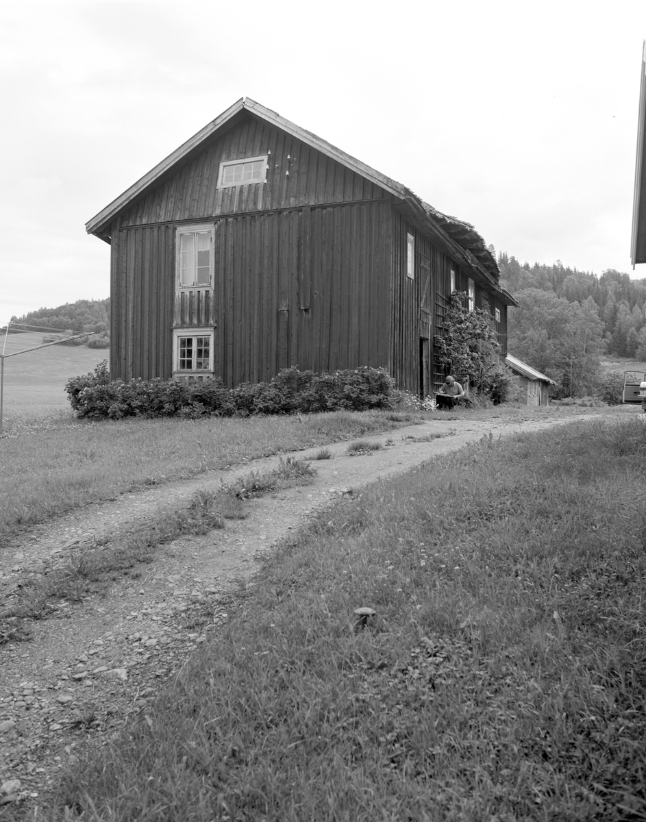 Seberg gård, Ringsaker. 