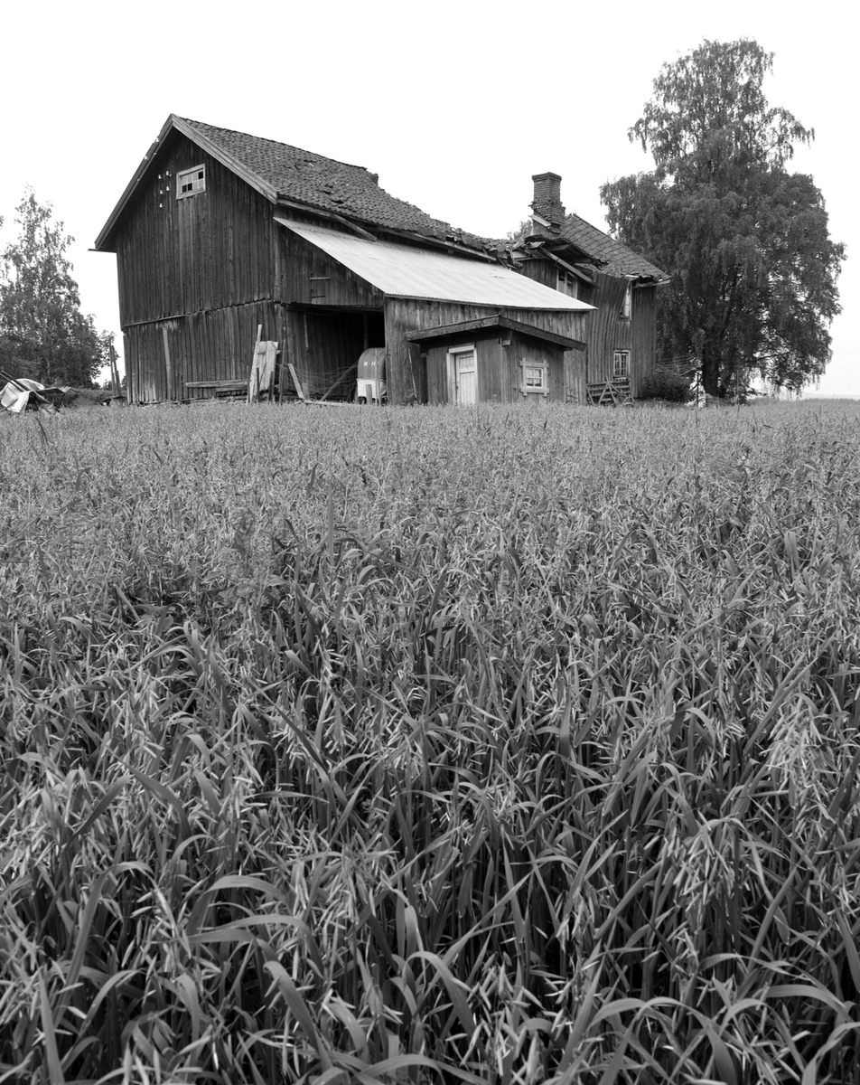 Seberg gård, Ringsaker. 