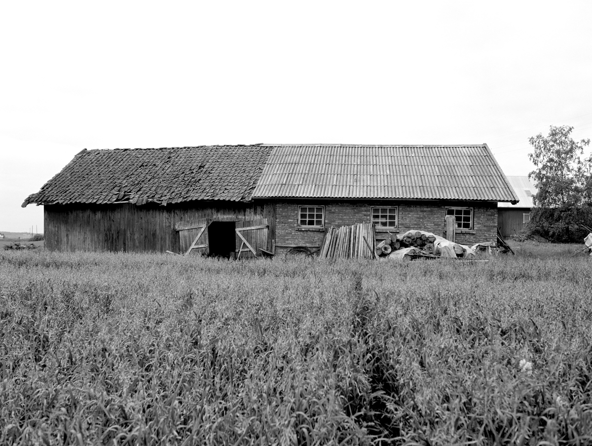 Ringsaker, Åshøgda, Nyhushøgda 235, Seberg gård,