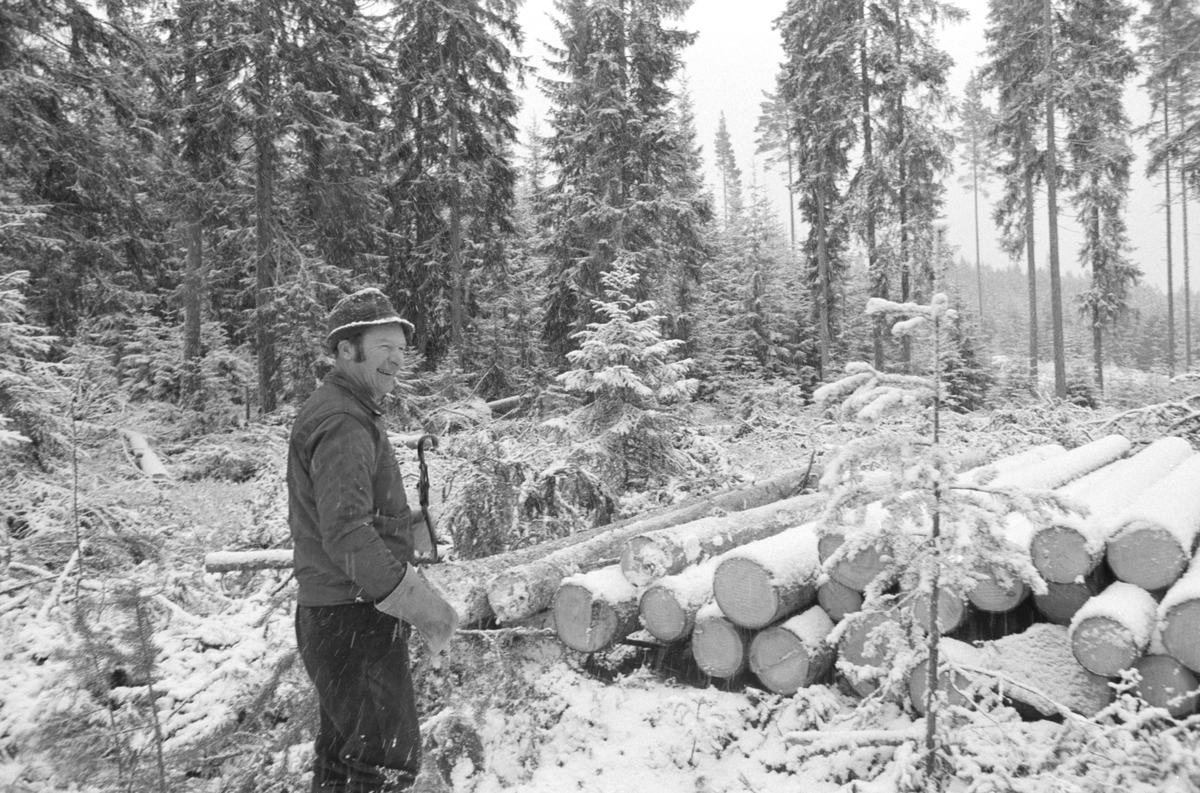 Skogsarbeid, hesteredskap, tømmerkjøring med hest, vinter, snøvær. Dagsåsen i Grue. Leif Skasberg  kjører tømmer i teigen til Tvengsberg.