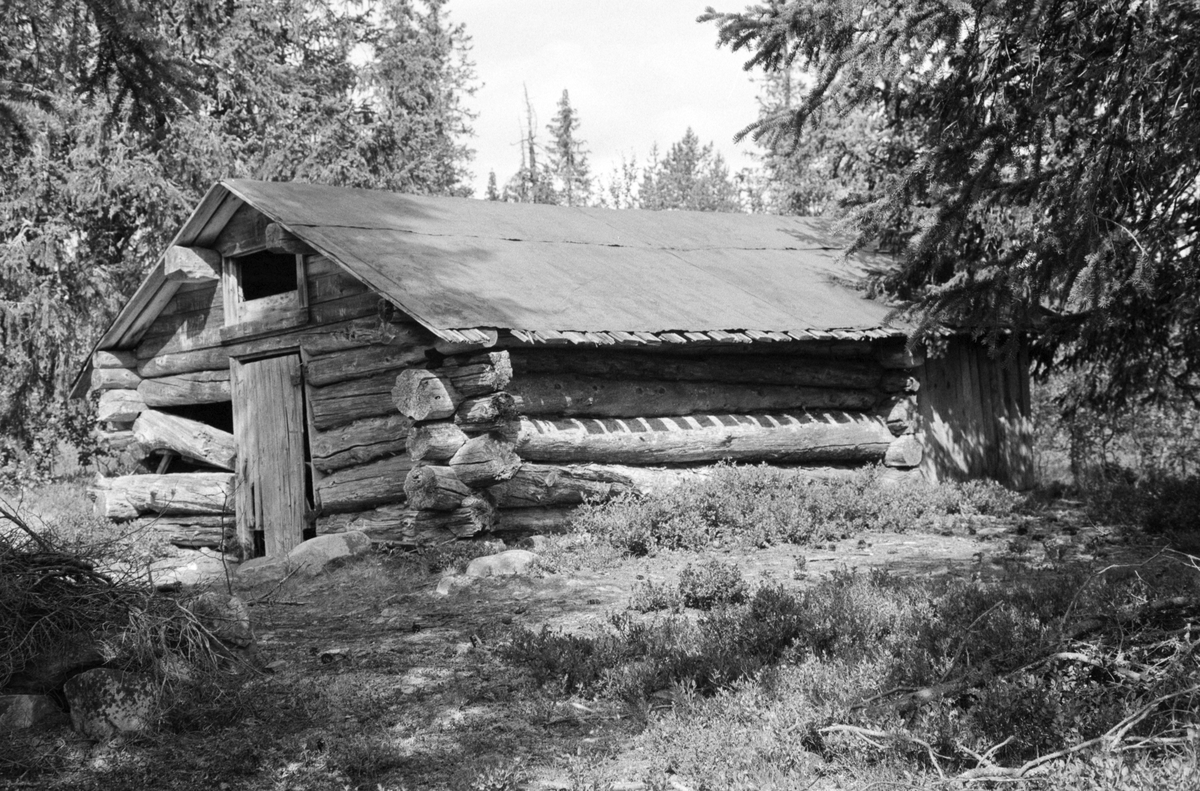 BREKKERUDKOIA, BJØNNÅSEN i Furnes almenning, Ringsaker. Seterhus. 