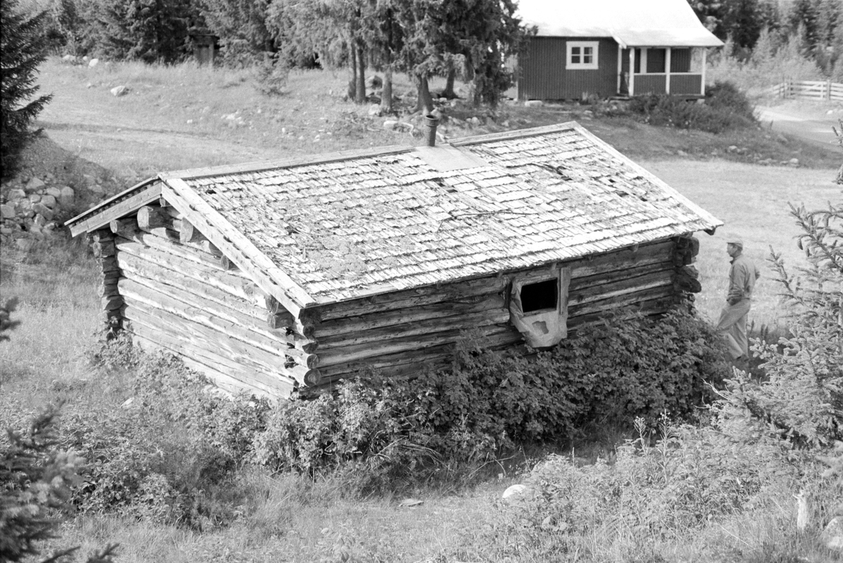 NUGGET, koie på PRESTSÆTRA i Furnes almenning, Ringsaker. Seterhus. 