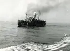 Hjälpkanonbåten Tjelvar (H 72) i Kustflottan juli 1941.