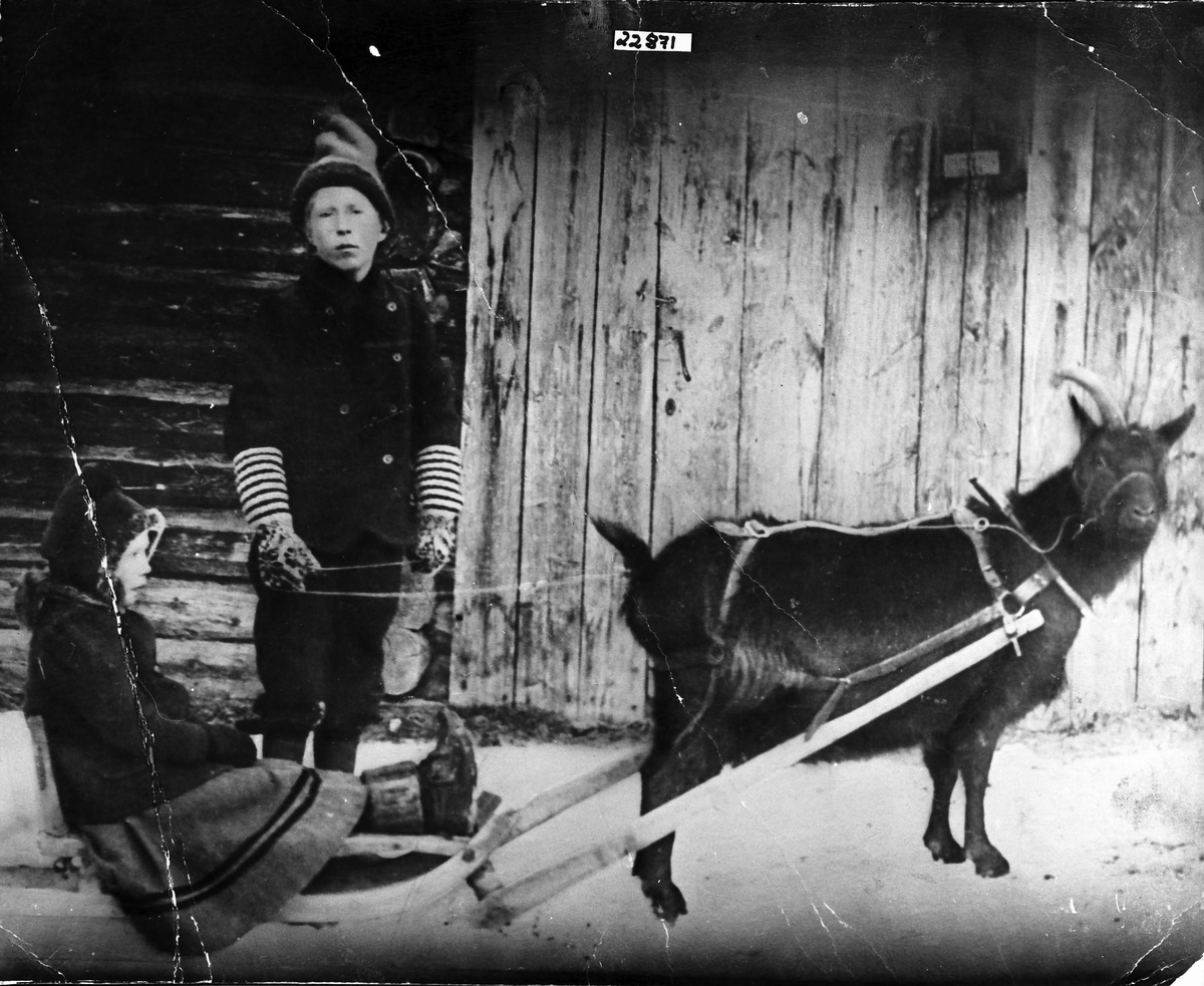 Barn med slede som trekkes av en geitebukk