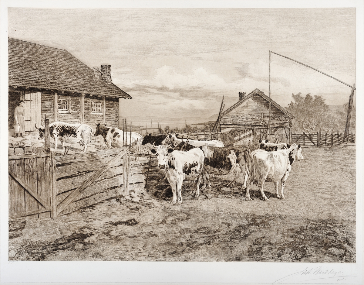 Radering av Johan Nordhagen,1907, kyr på vei til fjøset på Vinju gård, Veldre i Ringsaker, Kveldstell, budeie, vippebrønn, 
