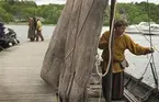 Skeppsdagar med vikingabåtar och vikingaläger på ängen vid Sjöhistoriska.