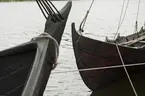 Skeppsdagar med vikingabåtar och vikingaläger på ängen vid Sjöhistoriska.