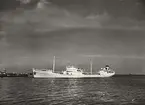 M/S BRATTLAND. Foto från Köpenhamn 1956.