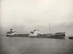 M/S BRATTLAND. Foto från Köpenhamn november 1961.