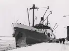 Lastångfartyget M/S BRAGE vid kaj 1959.