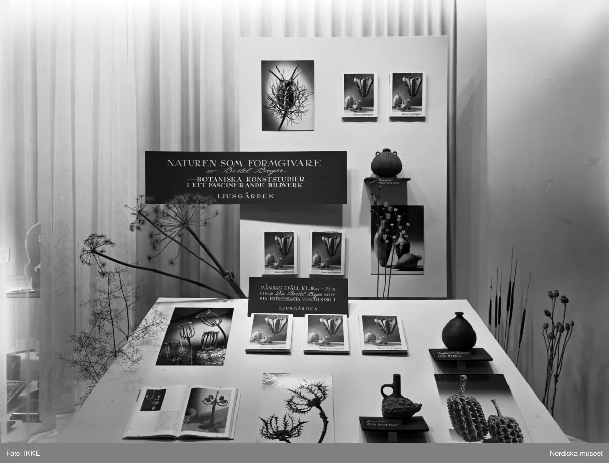 Skyltfönster på Nordiska Kompaniet. "Naturen som formgivare av Bertel Bager - botaniska konststudier i ett fascinerande bildverk".
