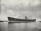 M/S TALISMAN. Foto från Köpenhamn den 26.9.1961.