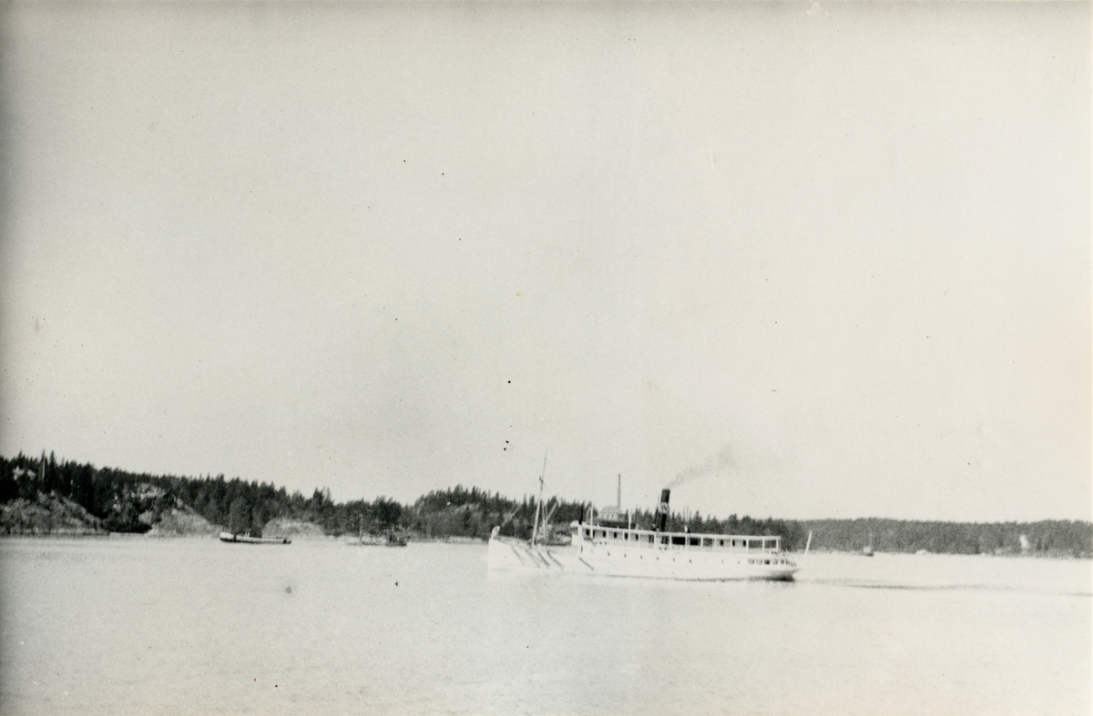 Skärgårdsångaren REX.