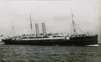 Brittiska postångaren RMS DANUBE.