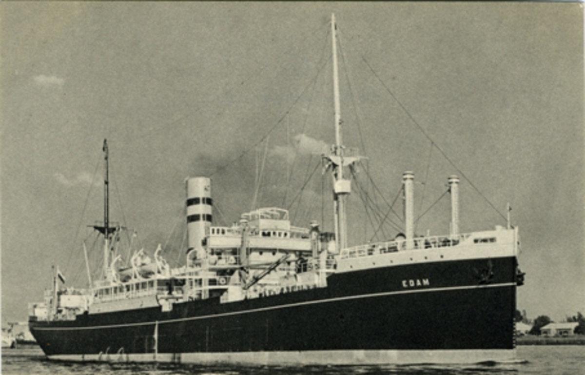 S.S. "Edam" -8.871 Brutto Reg. Tons. Postcard. Holland-America Line