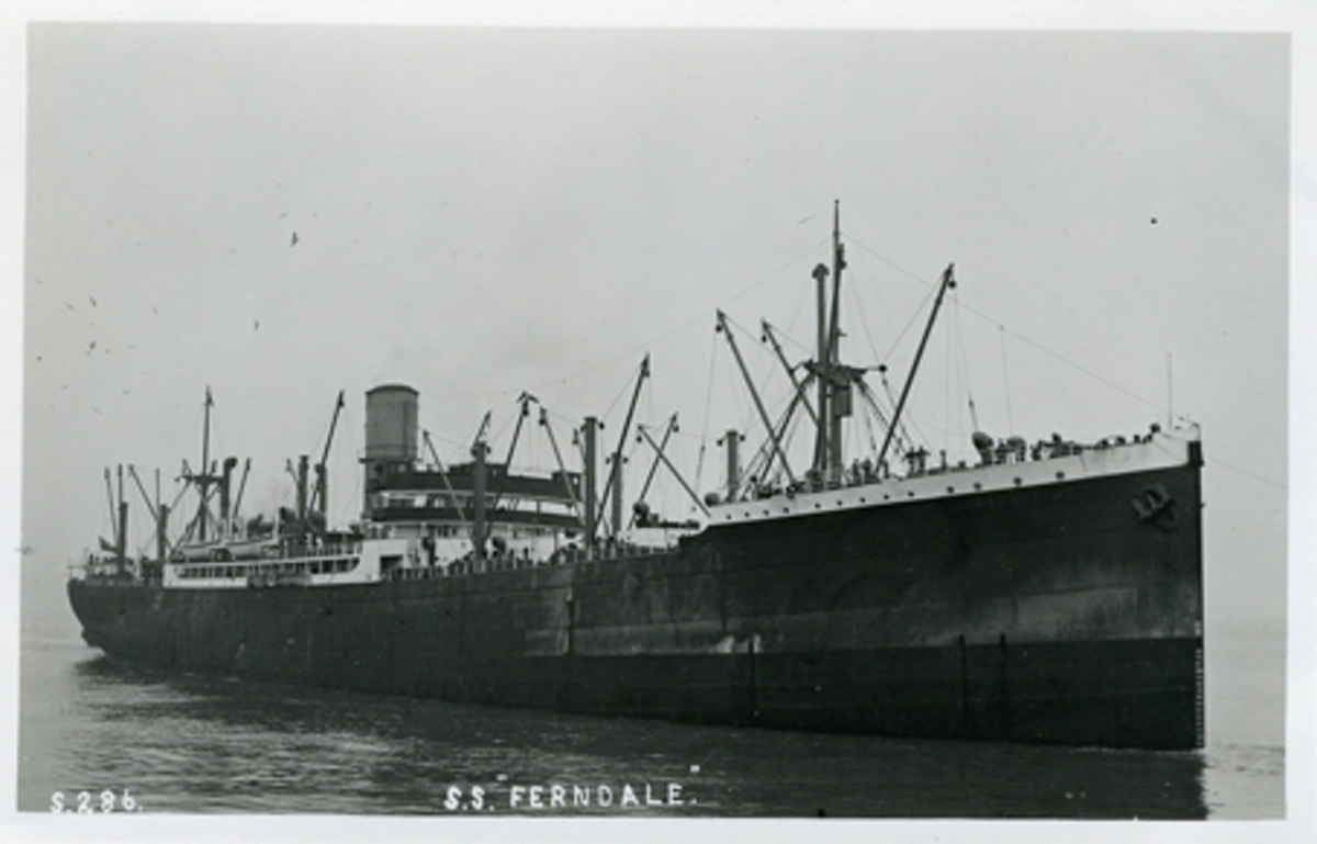 S.286. S.S. "FERNDALE."